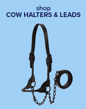 Cow Halters & Leads
